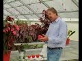 Horticulture Hints - Seed Propagation Horticulture Hints - Seed Propagation