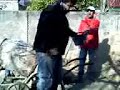 piletas chicco piletas chicco