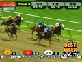 A Horse Named Arrrrrrrrrrrrrr A Horse Named Arrrrrrrrrrrrrr