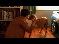 Dog Scene from Ken Park. Dog Scene from Ken Park.