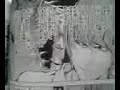mad-op-atreyu-the-crimson.html