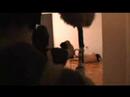 Ainda Orangotangos - Bastidores 6