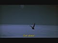 Jonathan Livingston Seagull - Dear Father Jonathan Livingston Seagull - Dear Father