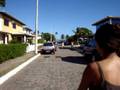 Flor roxa