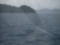 videos de killer whales attack