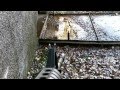 Soft air urban combat.mpeg
