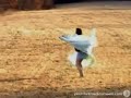 SSLYBY - What\ SSLYBY - What\