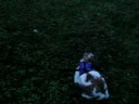9/11/2008  Oliver Hoppin\