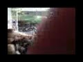 west brom 3 0 wolves part 5