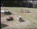 attelage marathon