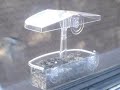 Window bird Feeder