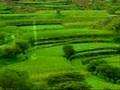 YEMEN إب الخضراء