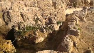  | موسوعة التراث الفلسطيني