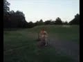 guy bikes into a lake