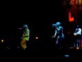 REM Permanent Vacation
