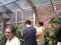 Butterfly House Part1