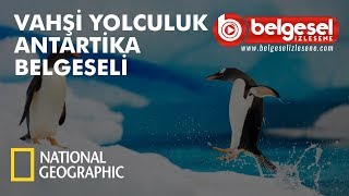 Vahşi Yolculuk Antarktika Belgeseli - Türkçe Du