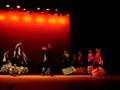 Flamenco-Jaqueline Jeronima Silva