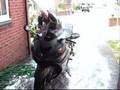 zzr1400-washed