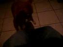 LA BUDY!!! ASESINA, MI GUARDESPALDAS