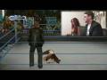 Smackdown vs. Raw 2009 - Maria vs. Gruesome Greggy