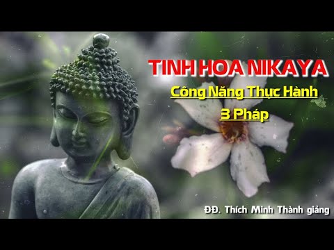 Tinh Hoa NIKAYA – Công Năng Thực Hành 3 Pháp