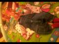 Ethan 10 weeks on his Play Gym