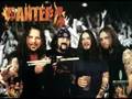 clip video Pantera SpongeBob SquarePants Theme