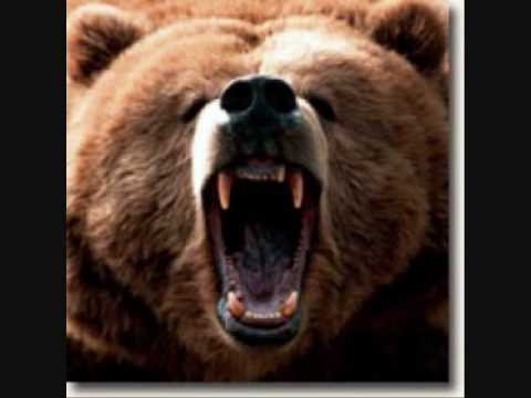 How to find High Yield Investments