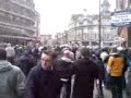 wolves albion yya