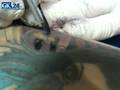 videos de Kameleon Tattoo