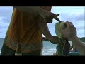 Trancoso: Parque ou Resort?