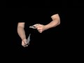 Fusion - Chip Trick/Card Flourish Video Fusion - Chip Trick/Card Flourish Video