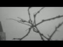 Sybris Good Internal Clock (3:11) Music Video