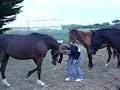 salut de mon coeur