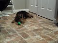Recon and new toy 2009 Nov.wmv
