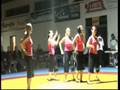 videos de tanzziegel