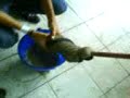 la chacha de erick la chacha de erick