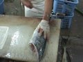 How to Filet a Mahi