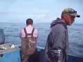 Halibut hook-up Halibut hook-up