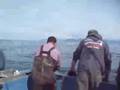 Halibut hook-up
