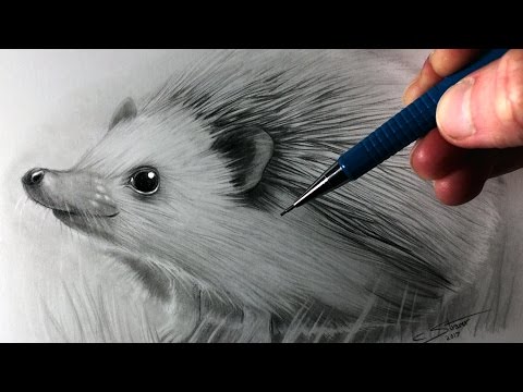 video-linktoworks-How to Draw a Hedgehog
