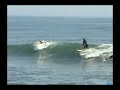 surfing @ wu shi gang