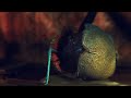 Neomorphus - Stop Motion