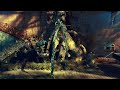 Neomorphus - Stop Motion