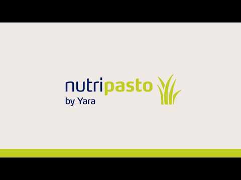 Programa Nutricional NutriPasto | Yara Brasil