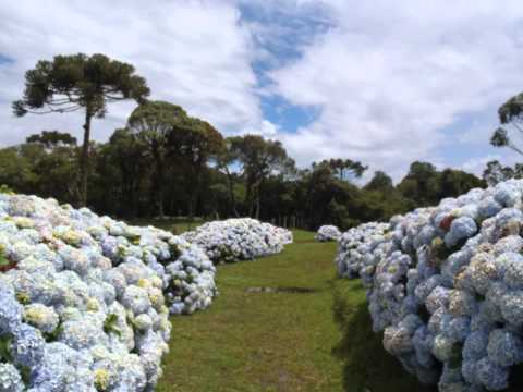Imagem de Amostra do You Tube