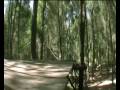 Down-Sintra