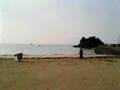 辺野古浜集会 - 浜のゴミ拾い　