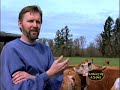 organic farming sustainable dairy milk family advertising commercials entertainment news performing arts short film tra